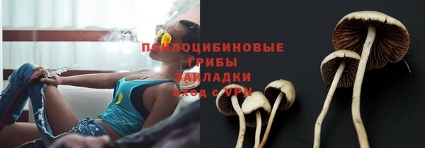 соль курить ск Балабаново