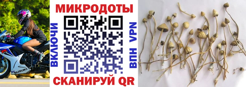 как найти   Строитель  Галлюциногенные грибы Psilocybe 